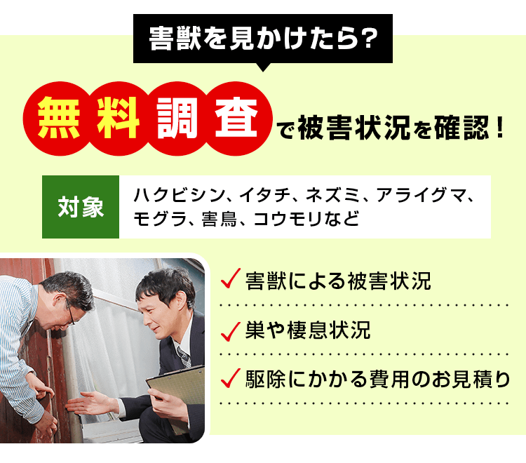 害獣を見かけたら無料調査で被害状況を確認