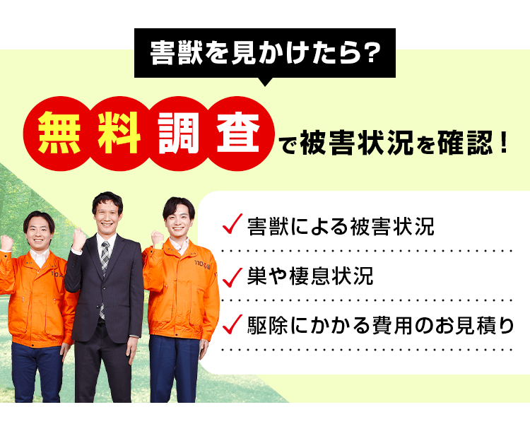 害獣を見かけたら無料調査で被害状況を確認!