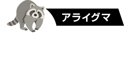 アライグマ