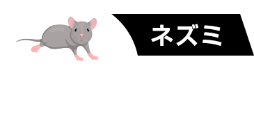 ネズミ