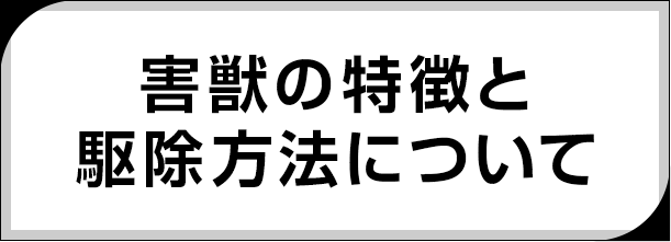 害獣の特徴と駆除方法について