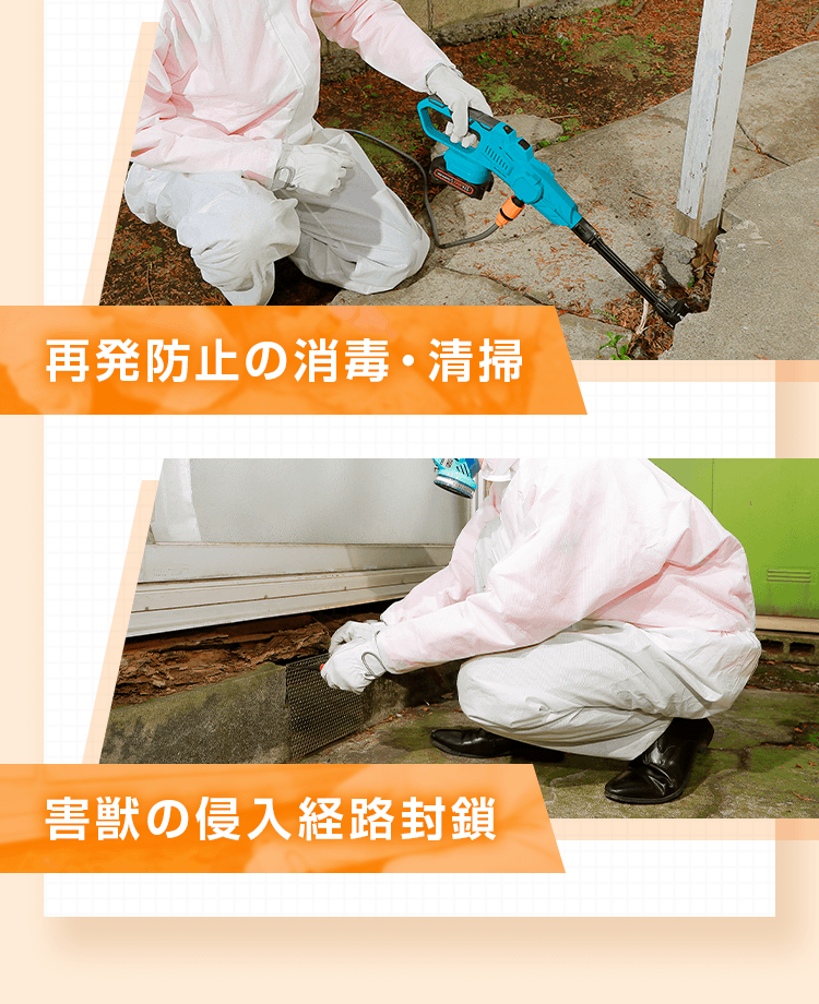 薬剤による追い出し、再発防止の消毒・清掃、害獣の侵入経路封鎖