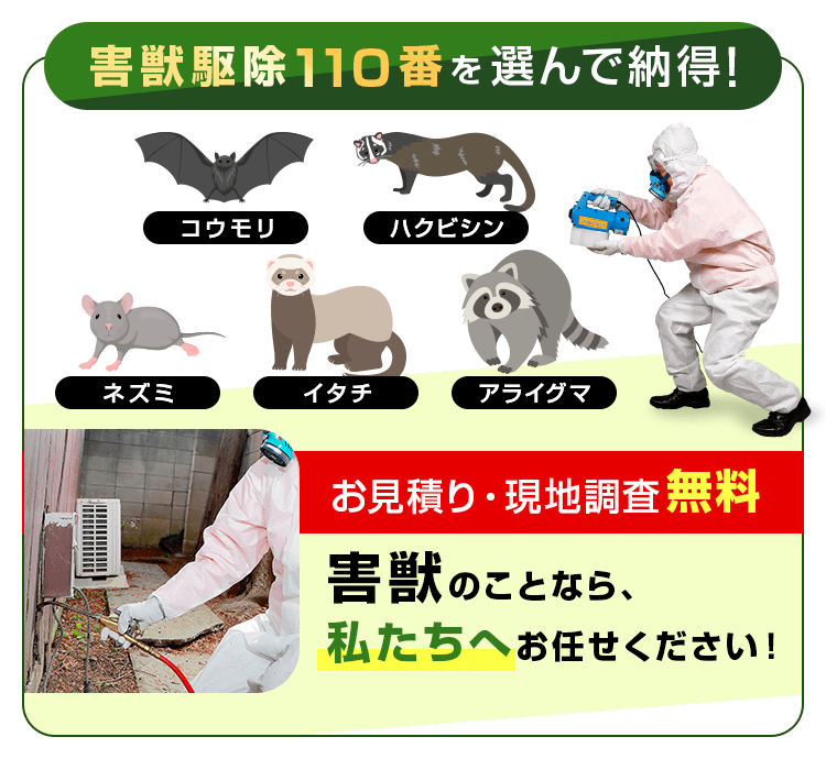 害獣駆除110番を選んで納得!