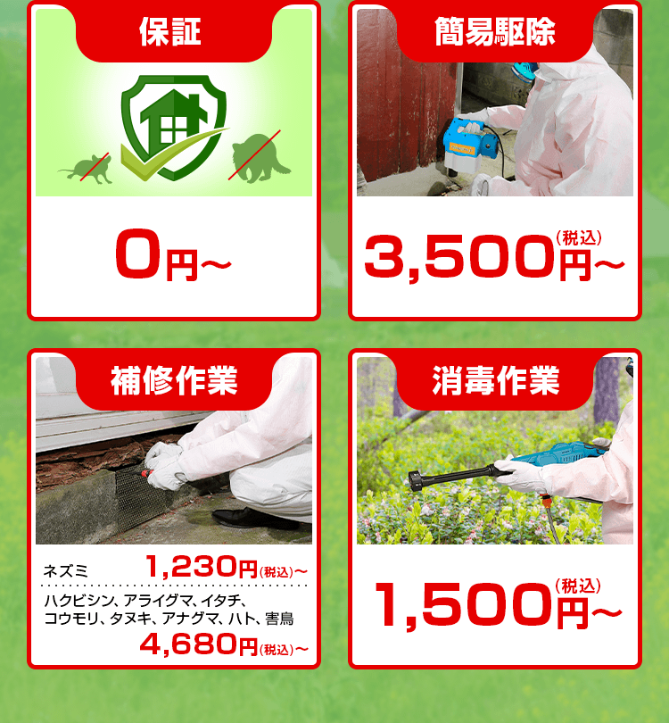 現地調査、お見積り、保証、簡易駆除、補修作業、消毒作業